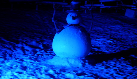FOTO: Sněhulák v Disneylandu