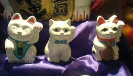 FOTO: Kočky v Malajsii přin&aacute;&scaron;ej&iacute; &scaron;těst&iacute;