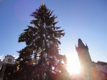 FOTO: V&aacute;nočn&iacute; strom v Praze 2011