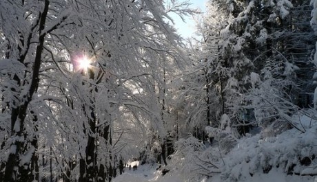 FOTO: Krkono&scaron;e