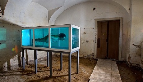 David Černý - Shark OBR: David Černý - Shark