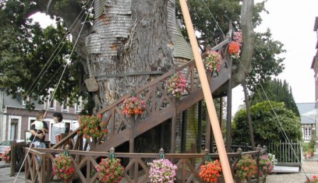 FOTO: Kaple v koruně stromu