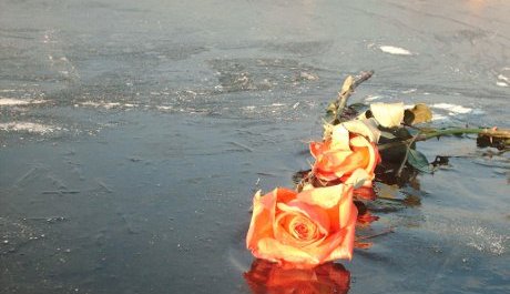 FOTO: Zemřel Květoslav Chvat&iacute;k, česk&yacute; filozof a badatel Kunderov&yacute;ch rom&aacute;nů