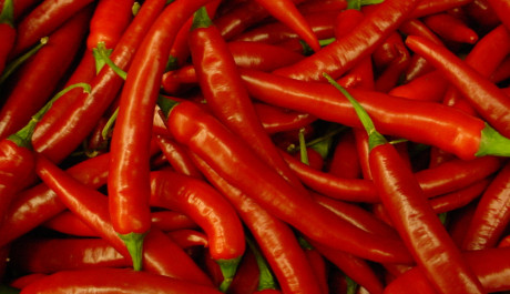 FOTO: Chilli