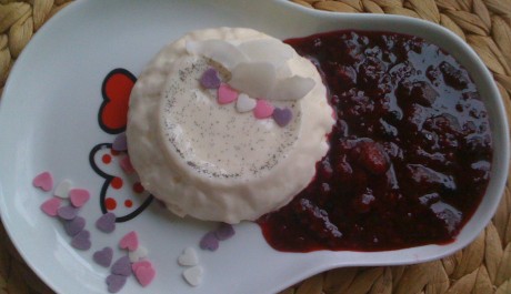 Panna cotta s omáčkou z lesních plodů