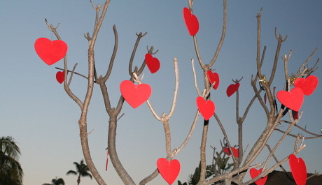 FOTO: Valentýnský strom