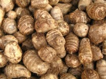 FOTO: Vypad&aacute; celer snad jako afrodiziakum? 