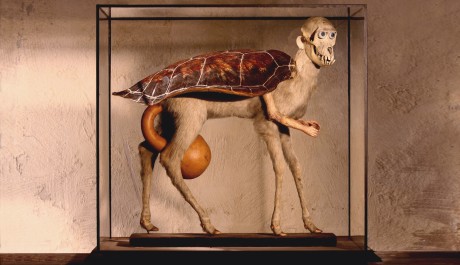 OBR: Falešná želva - autor Jan Švankmajer