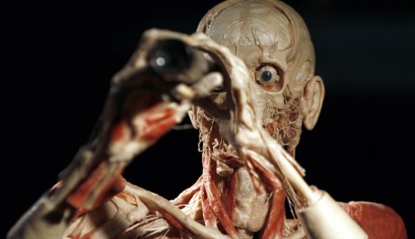 foto: human body