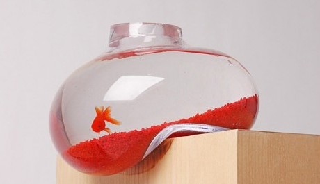 FOTO: Psalt Design - Bubble Tank