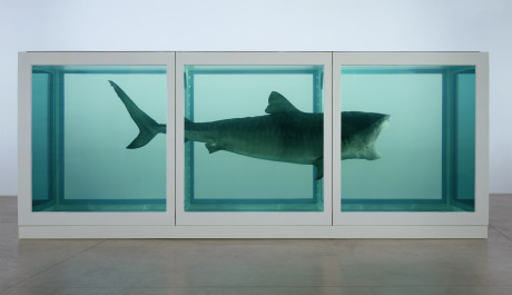 FOTO: Damien Hirst: Fyzická nemožnost smrti v mysli žijících, Zdroj: tate.org.uk