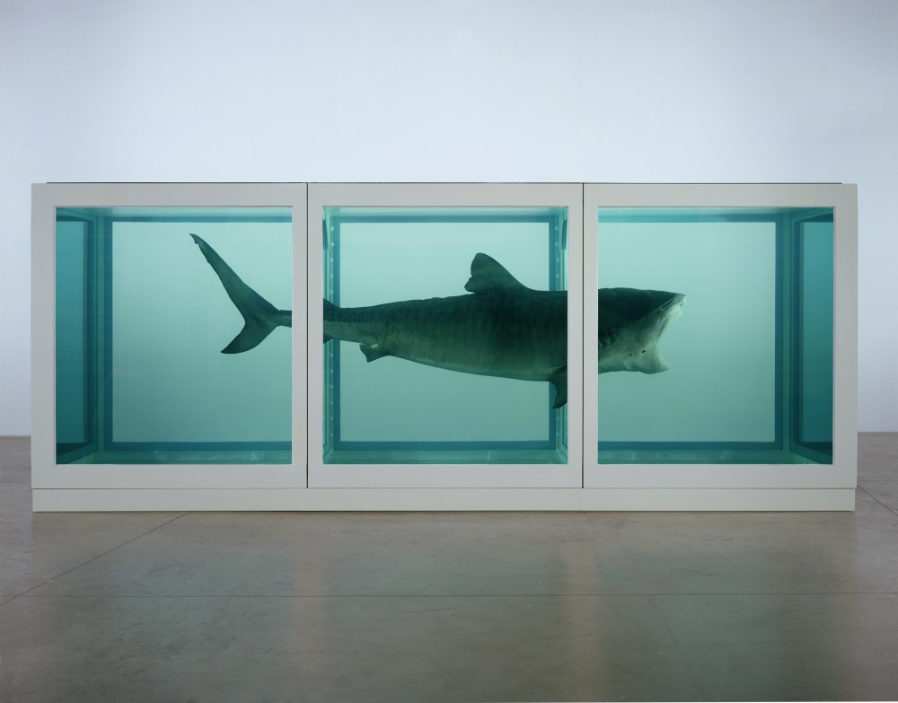 FOTO: Damien Hirst: Fyzická nemožnost smrti v mysli žijících, Zdroj: tate.org.uk