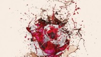 FOTO: Diver&Aguilar - Explodující zmrzlina