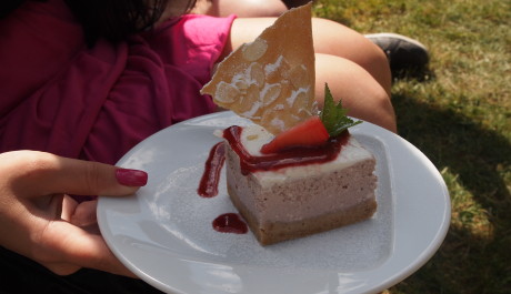 FOTO: Jahodový cheesecake