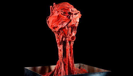 OBR: Karel Nepraš v DOX