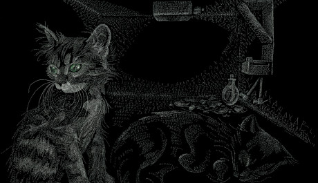OBR.: Schrödingerova kočka (The Schrödinger's Cat)