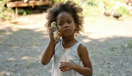 FOTO: Divoká stvoření jižních krajin