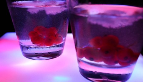FOTO: Drink