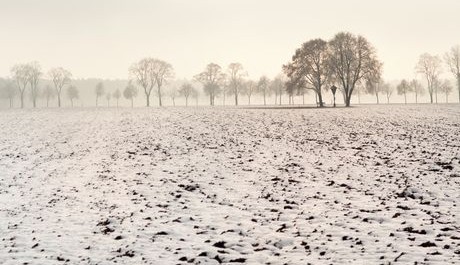 FOTO: Zasněžená zimní krajina.