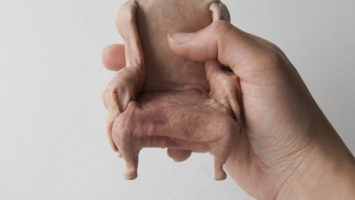 FOTO: nabytek:kuze_nahled