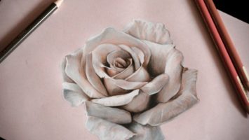 ruze_2