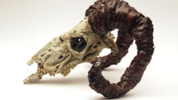 FOTO: skullptury
