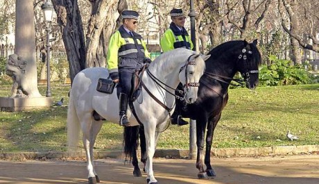 FOTO: Britská policie