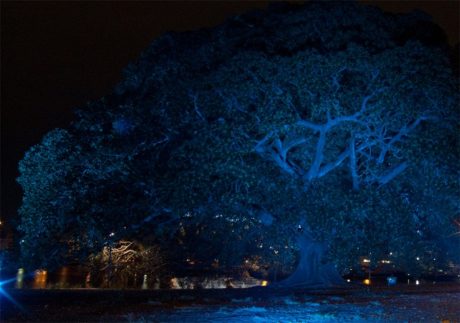 Projekt Earth V Sky, Allan Giddy, Zdroj: www.allangiddy.com