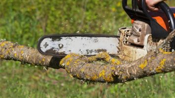motorova_pila_prace_na_zahrade