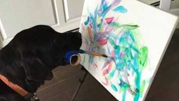 pes-maluje-obrazy