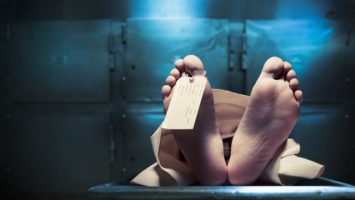 Smrt a virus zika, mrtví