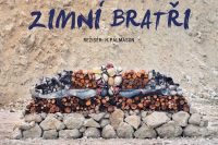 Film Zimní bratři