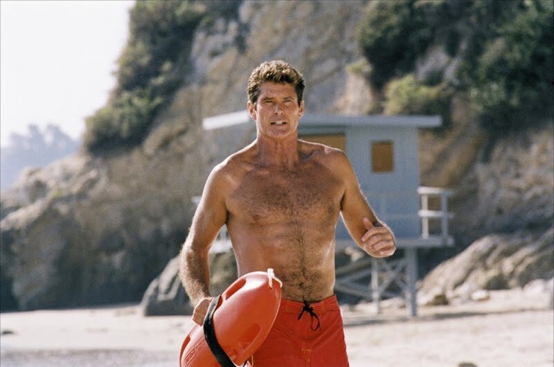 david-hasselhoff