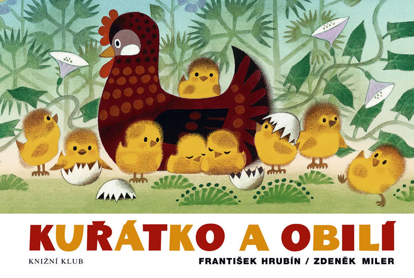 FOTO: Kuřátko a obilí