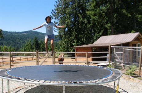 Skoky na trampolíně