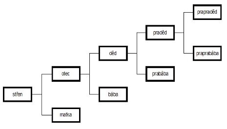 Rodokmen OBR: rodokmen