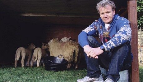 FOTO: Jednou z vášní Gordona Ramseyho je farma.