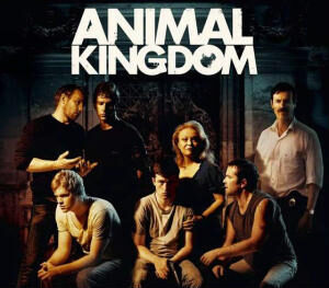 Animal-Kingdom