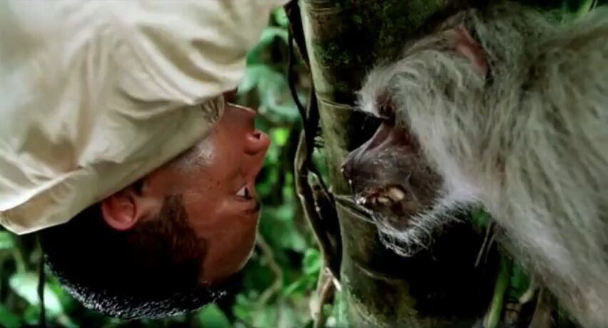 FOTO: Vítejte v džungli