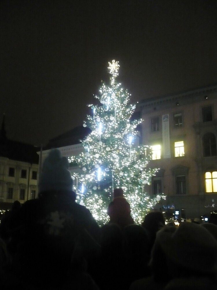 FOTO: Vánoční stromeček