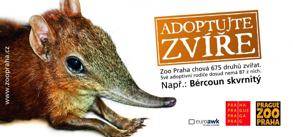 FOTO: Adopce Bércouna