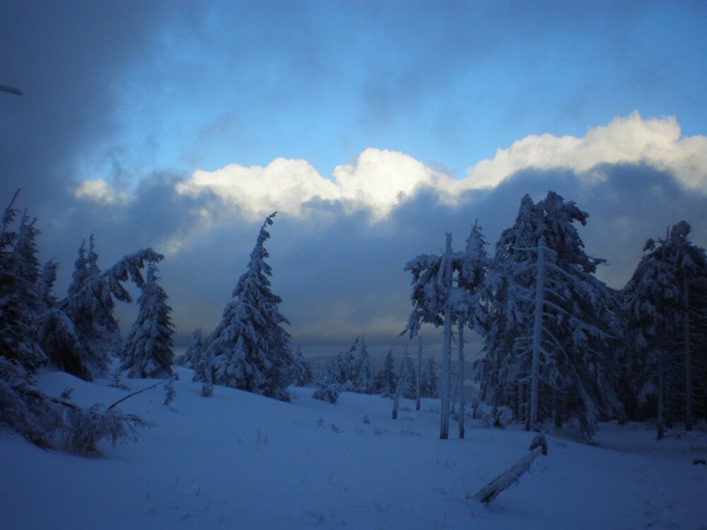 FOTO: Hřeben Králického Sněžníku