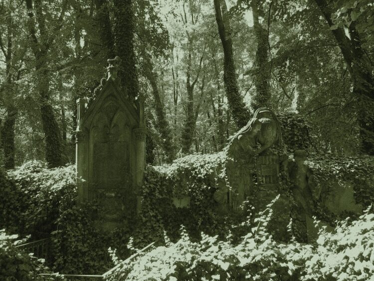 FOTO: Malostranský hřbitov