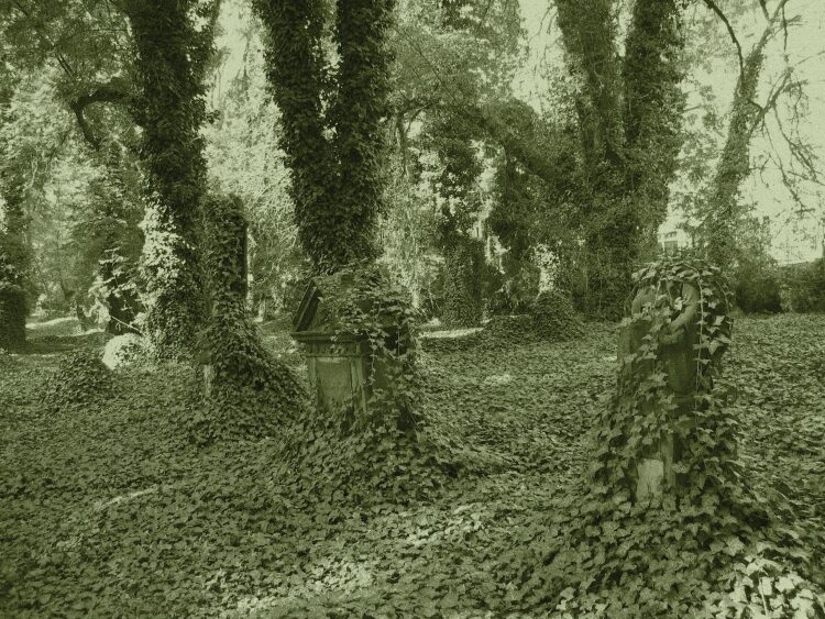 FOTO: Malostranský hřbitov