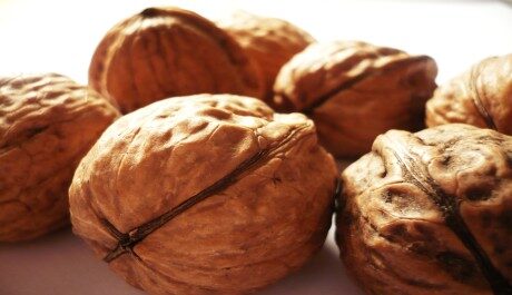 FOTO: Vlašské ořechy