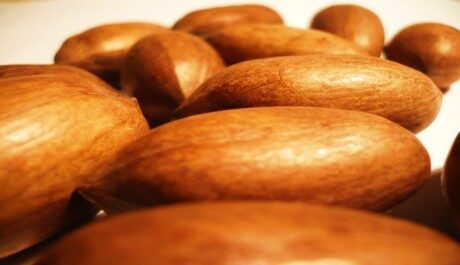 FOTO: Pekanové ořechy