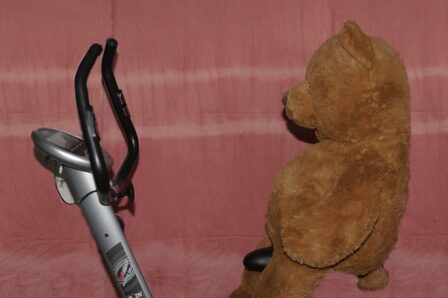 FOTO: medvěd na rotopedu