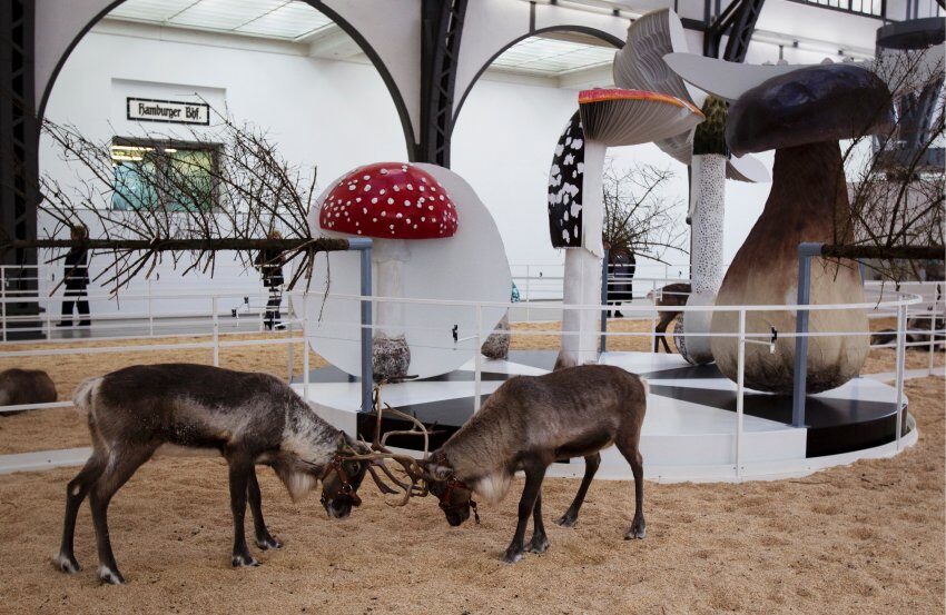 FOTO: Exhibice SOMA v berlínském muzeu