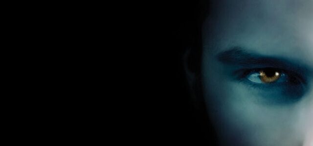 L. J. Smith Upíří deníky Návrat 640x300