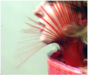 FOTO: Portrét - Daniela Rajdová